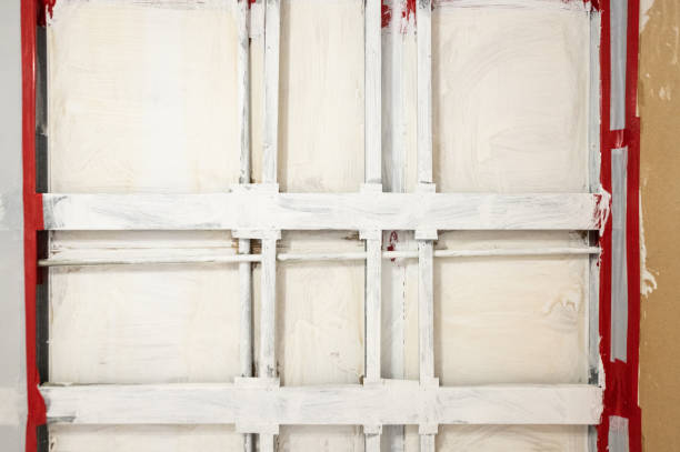 Forensic Mold Investigation in Jacksonville, FL