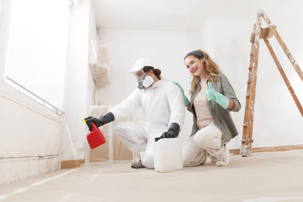 Mold Remediation for Rental Properties in Jacksonville, FL